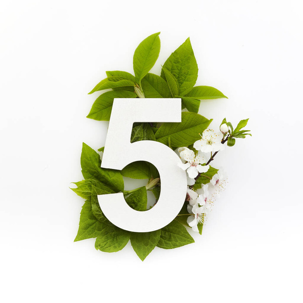 Number five with green leaves. Minimal summer concept. Flat lay. - Foto, Bild