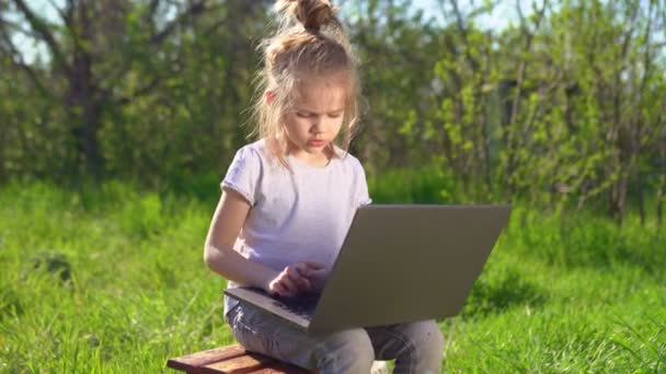 little girl with laptop and chickens in village - Filmati, video