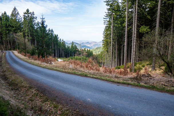 asphalt road in the mountains with spruce forests - Фото, изображение