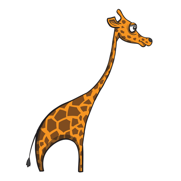 Divertente giraffa cartone animato su sfondo bianco. Illustrazione vettoriale
 - Vettoriali, immagini