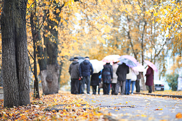 Autumn rain in the park during the da - Valokuva, kuva