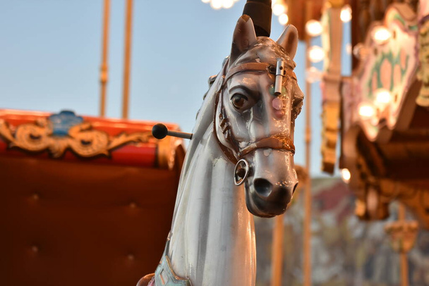 Detailní záběr kolotočového koně umístěného v centru Tirany v Albánii. - Fotografie, Obrázek