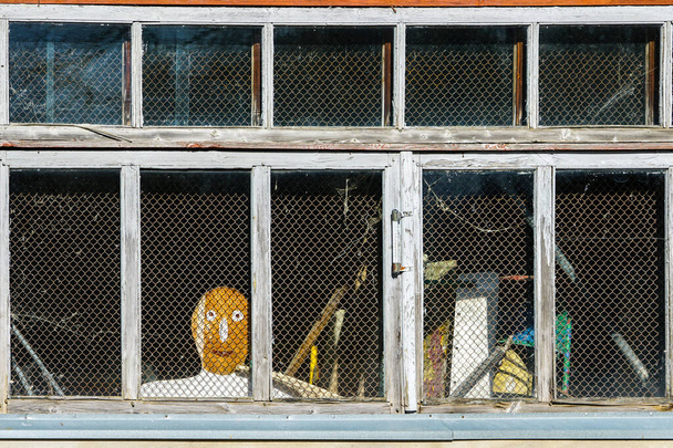 ένα τυποποιημένο ανθρώπινο πρόσωπο σε καραντίνα κοιτάζει έξω από ένα παράθυρο που καλύπτεται από ένα συρματόπλεγμα - Φωτογραφία, εικόνα