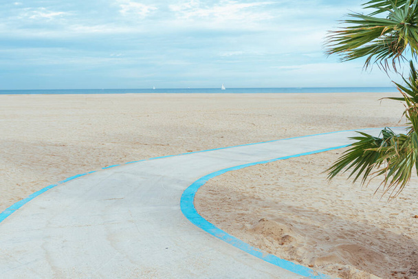 Modrá stezka na pláži s palmami a mořským horizontem. - Fotografie, Obrázek