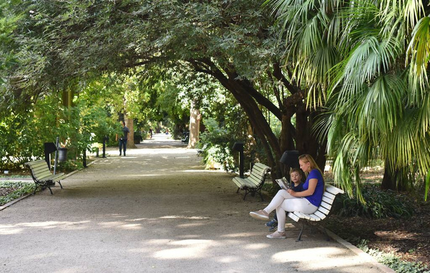 Matka i syn siedzą na ławce w tropikalnym parku - Zdjęcie, obraz