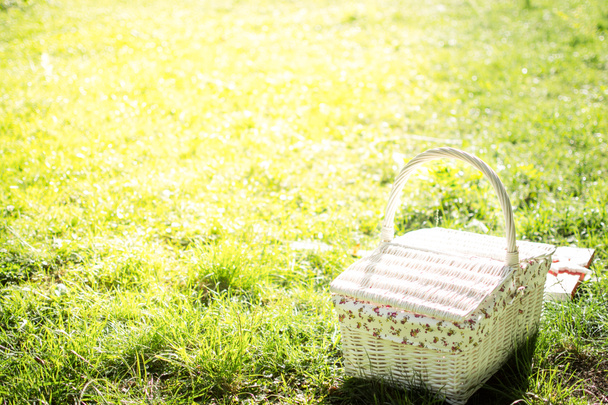 Picnic basket on green lawn. Outdoor picnic at sunny day. Vintage basket. Spring sunny concept. 8 March. Happy Mothers day. - Photo, Image