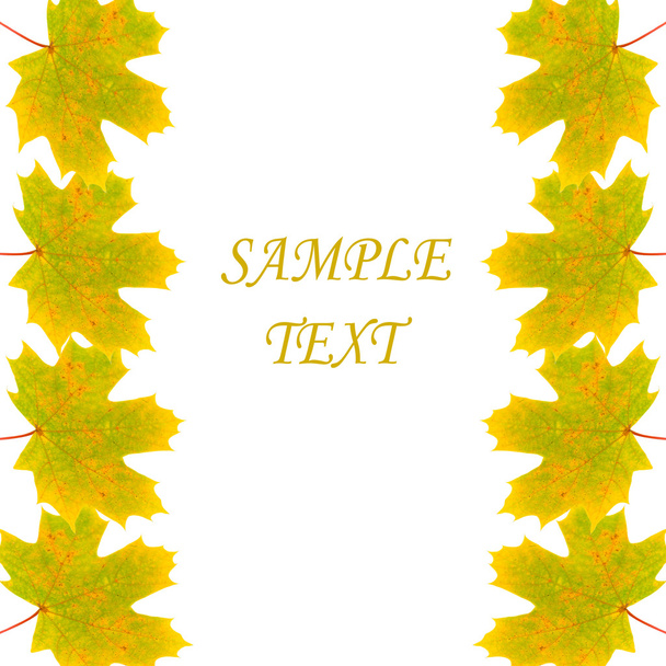 Frame of autumn maple leaves - Photo, Image