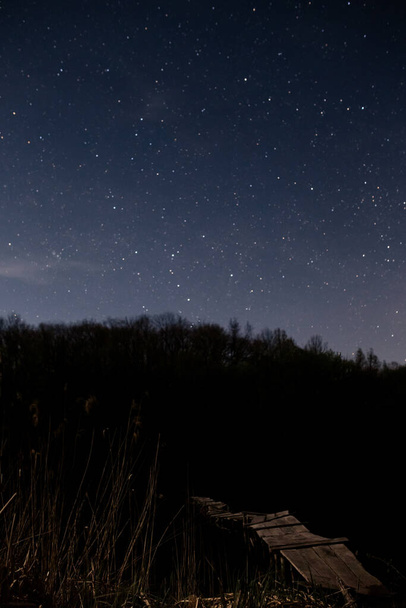 Cielo estrellado y la pasarela de madera en el bosque. Cielo nocturno
 - Foto, Imagen