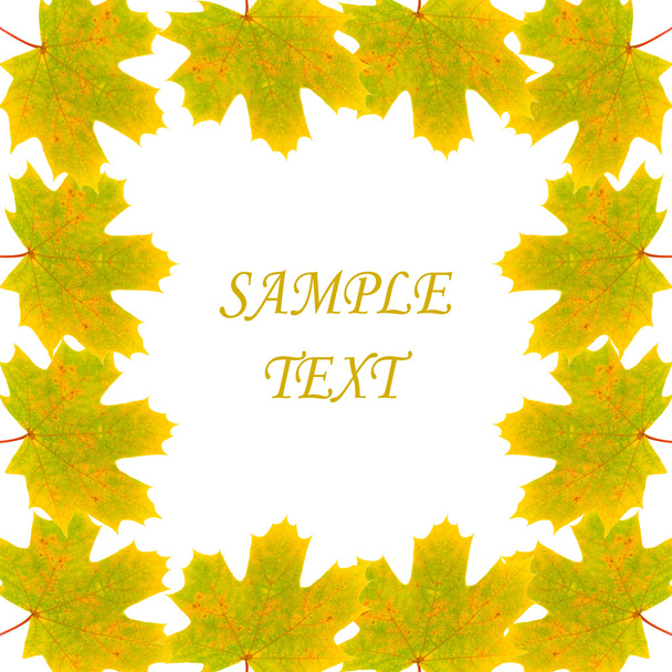 Frame of autumn maple leaves - Foto, Imagen