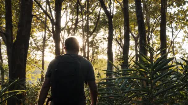 バックビュー若いアジアの男は、美しい明るい太陽光線タイで日没の夜に熱帯雨林と日光を探索歩いてください。ハイキング、秋の森と旅行.  - 映像、動画