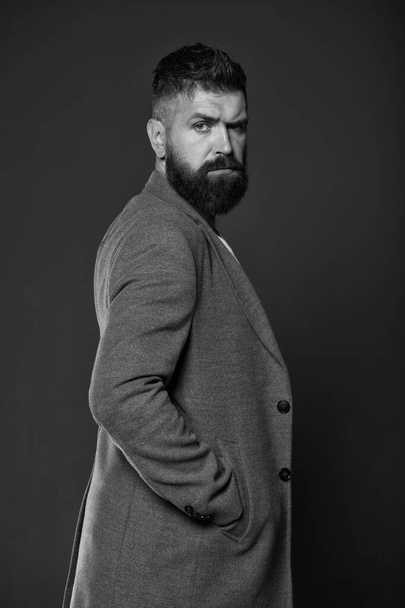 Feeling cool and confident. Brutal look of modern businessman. Hipster with brutal bearded face. Bearded man wear casual business style. Brutal and bearded. Barbershop. Fashion and style - Foto, Imagem