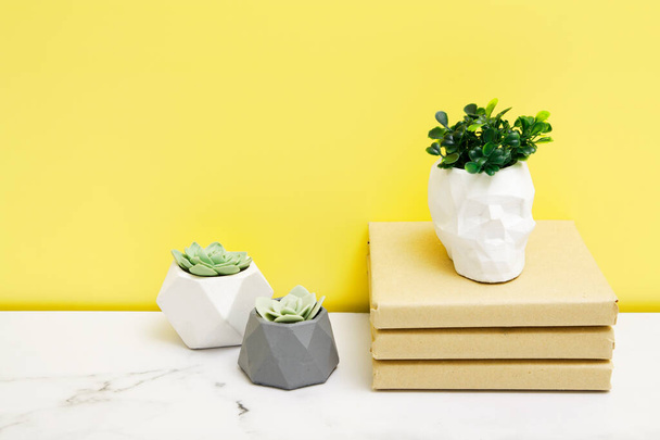 Kodin kasveja betoni kukkaruukkuja kirjoja pöydällä lähellä keltaista seinää. Kopioi tila
 - Valokuva, kuva