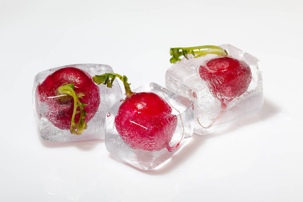 Fresh red radish with green leaves frozen in ice cubes on white background. The concept of freezing vegetables. - 写真・画像