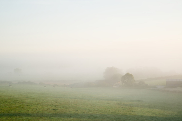 sis sonbahar tarım peyzaj üzerinde katmanları - Fotoğraf, Görsel