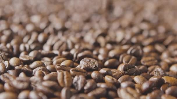 Fragrant coffee beans background - Felvétel, videó