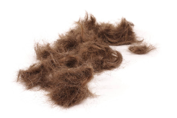 Muitos cabelos masculinos marrons cortados isolados no fundo reflexivo branco
 - Foto, Imagem