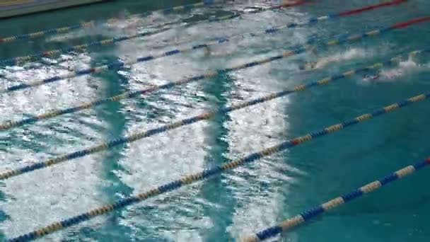 Pool with many special tracks. Womens Freestyle Swimming training - Footage, Video