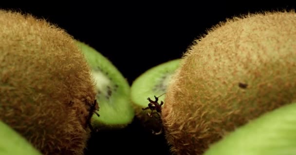 Soczyste świeże owoce kiwi pokrojone w pół super makro wysokiej jakości zbliżenie pędu  - Materiał filmowy, wideo