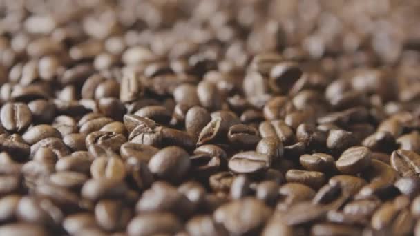 Fragrant coffee beans background, video - Video, Çekim