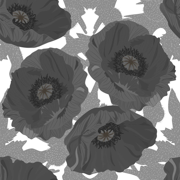 Krásný bezešvý vzor s mákem květiny. Vektorová ilustrace. EPS 10 - Vektor, obrázek