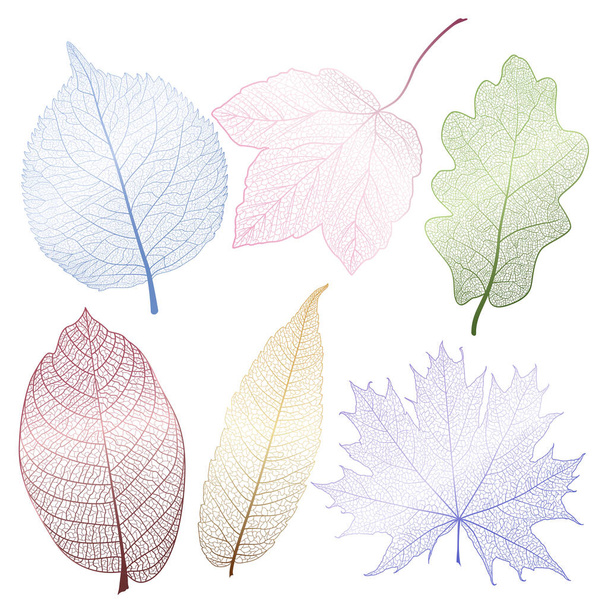 Vector Set Paper Cut Leaves Stock Vector (Royalty Free) 589183283