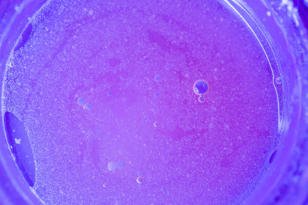 Die Bakterienkultur des Virus unter dem Mikroskop - Foto, Bild