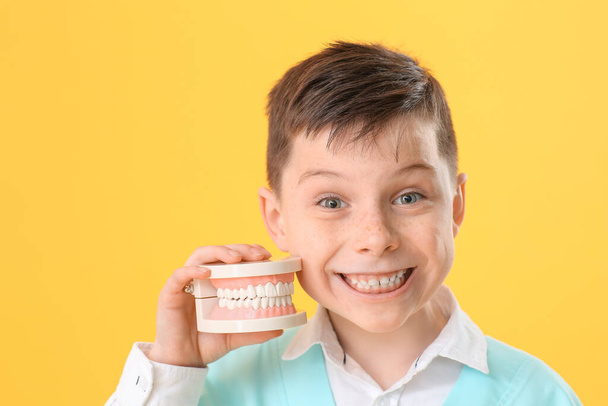 Little dentist with model of jaw on color background - Photo, Image