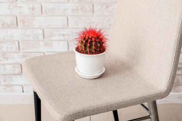 Cactus sur chaise près du mur de briques. Concept des hémorroïdes
 - Photo, image