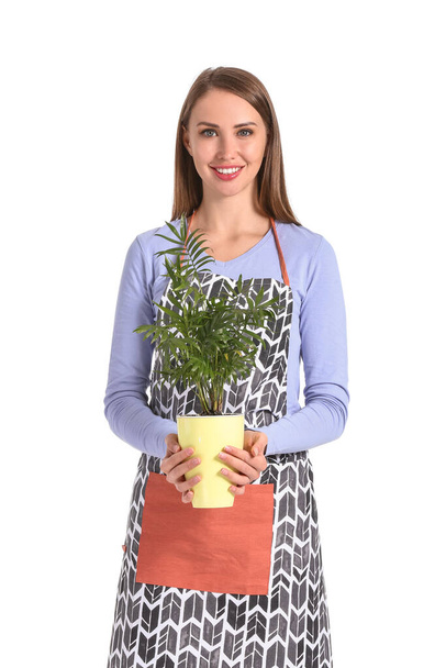 Portrait of female florist with plant on white background - Fotó, kép