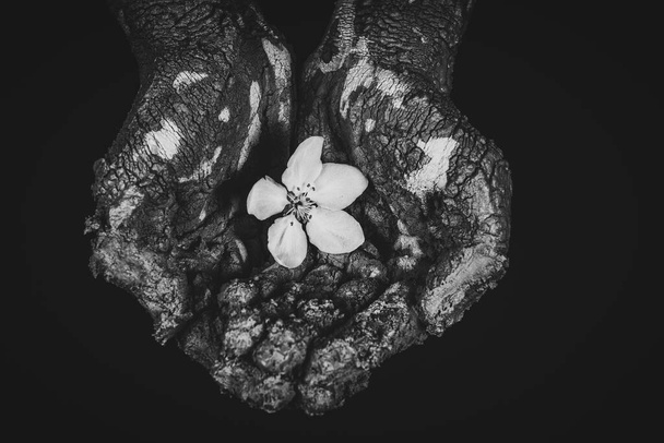 les mains de l'homme en argile sèche
 - Photo, image