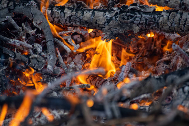 Burning coals in a bonfire. - Foto, Imagen