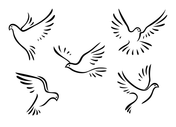 Tauben und Tauben gesetzt - Vektor, Bild