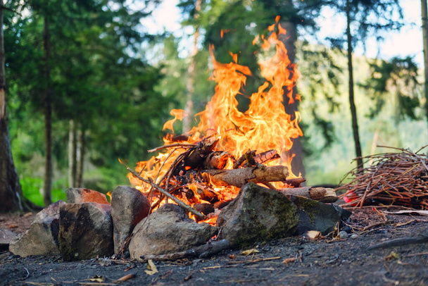 Lagerfeuer im Wald in der Abenddämmerung, verschwommener Waldhintergrund - Foto, Bild