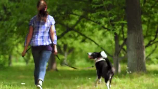 Mladík chodí se svým mazlíčkem po parku a běhá s ní v letní zahradě. Koncept výcviku psů. Prores 422 - Záběry, video