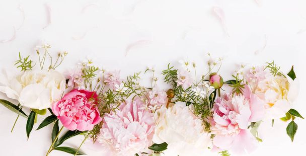 Romantyczny sztandar, delikatne białe piwonie z bliska. Pachnące różowe płatki - Zdjęcie, obraz