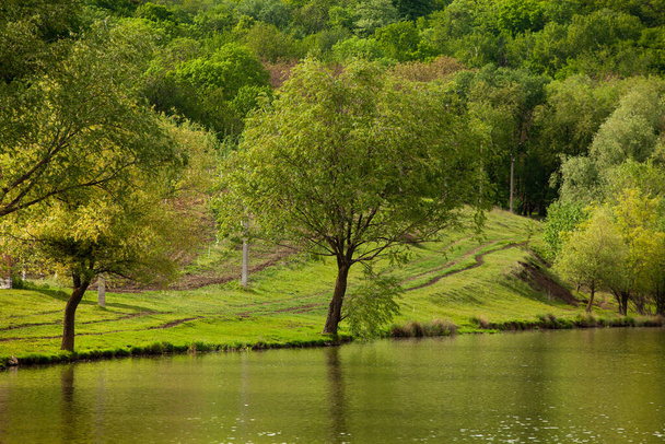 Yeşil çayırdaki bir grup ağaç. Yeşil çimenler ve mavi gökyüzü yaz gününde. Resmi parktaki ağaç sınırı. Moldova Cumhuriyeti 'nin güzel bahar manzarası. Yeşil manzara. Bahar Doğası. - Fotoğraf, Görsel