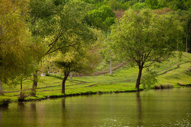 Baumgruppe auf der grünen Wiese. Feld mit grünem Gras und blauem Himmel an einem Sommertag. Baumreihe im Park. Schöne Frühlingslandschaft in der Republik Moldau. Grüne Landschaft. Frühlingsnatur. - Foto, Bild