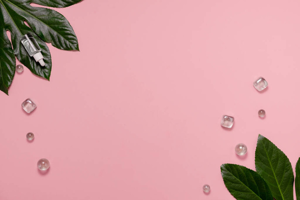 Гіалуронова кислота Дроппер прозора скляна пляшка на рожевому фоні. Концепція догляду за шкірою та здоров'я. Скляні пляшки на тропічному листі
. - Фото, зображення