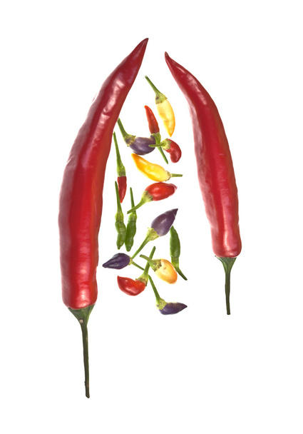 Pimenta de pimenta colorida orgânica
 - Foto, Imagem