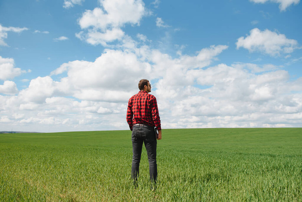 Farmer walking through a green wheat field on windy spring day and examining cereal crops - Фото, зображення
