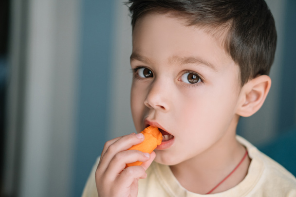 aranyos gyermek eszik friss sárgarépa és nézi a kamera - Fotó, kép