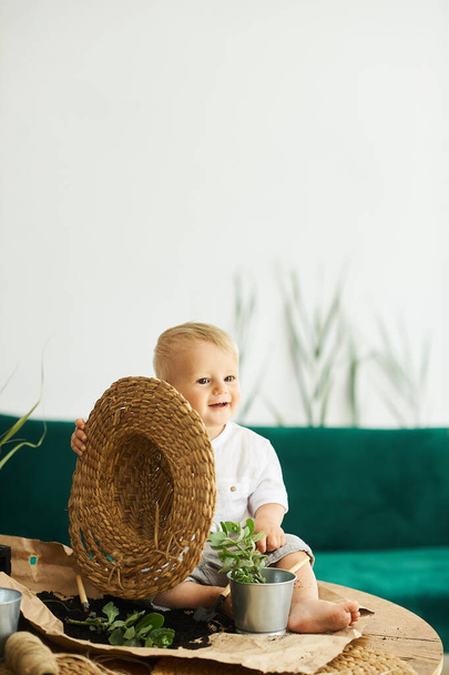 A portrait of a cute little boy wearing a straw hat sitting on a table and transplanting plants - Foto, Imagen