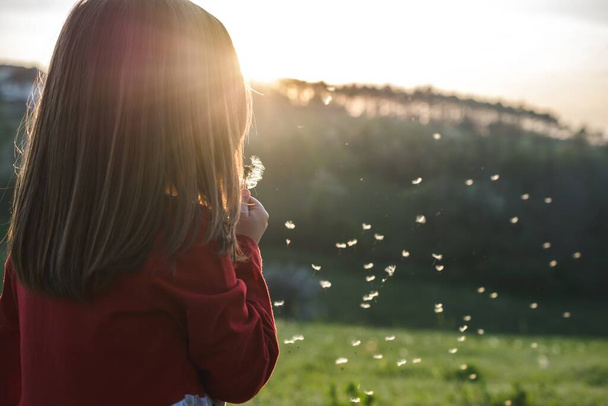 A view of a child wearing a red blouse and blowing dandelion in a field while on a sunny day - Foto, Imagen