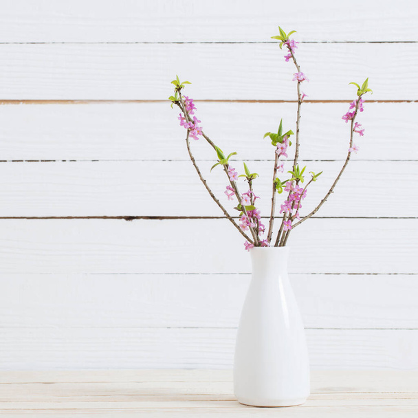 daphne flowers in vase on white wooden background - Фото, зображення