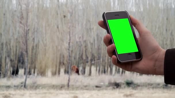 Man Using an Old Smartphone in a Rural Field. A Horse grazing in the Background.  You can do it with Keying effect in After Effects or any other video editing software (check out tutorials on YouTube).   - Footage, Video