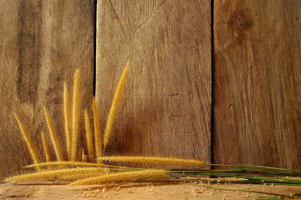 Still life with foxtail grass on grunge wooden background - Photo, Image