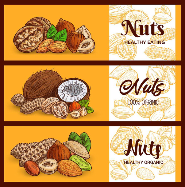 Ořechy a obiloviny kreslit transparenty, kešu, mandle, arašídy a pistáciová semena, vektor. Vegetariánské a veganské přírodní bílkoviny syrové potraviny kokos, lískový ořech a vlašské ořechy, muesli snídaně ingredience - Vektor, obrázek