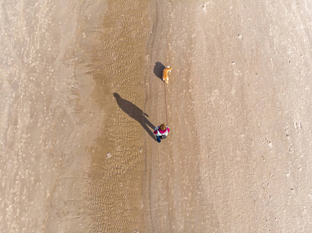 a woman walks with a dog along the sand dunes along the sea shore, view from above - Fotoğraf, Görsel