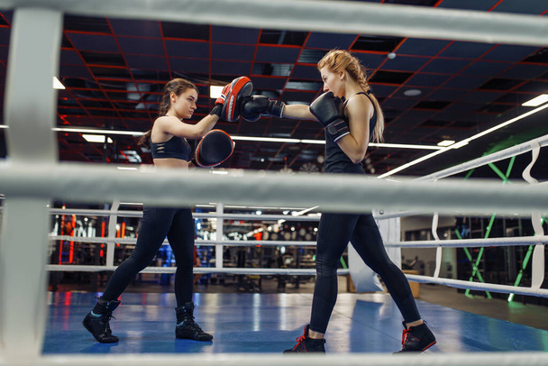 リング上の手袋ボクシングの2人の女性、ボックスワークアウト。ジムの女子ボクサー,スポーツクラブのキックボクシングスパーリングパートナー,パンチ練習 - 写真・画像