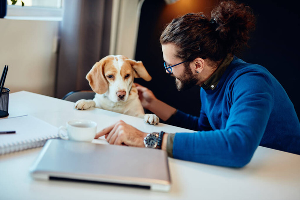 Joyeux sourire bel homme caucasien assis dans son bureau à la maison et jouer avec son chien. Concept de travail à domicile
. - Photo, image